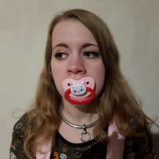 Cat pacifier